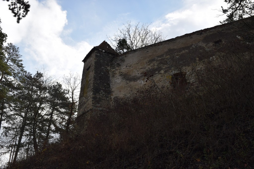 Brasov jimbor