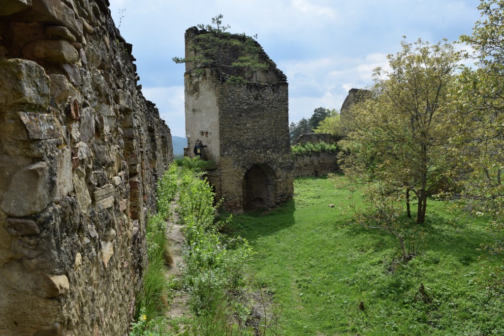 citadelle Saschiz