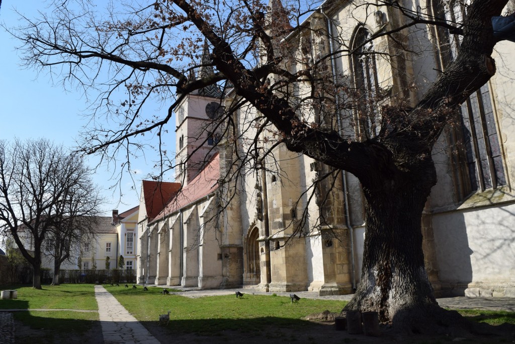 Voyage en Roumanie Eglise fortifiee Sebes