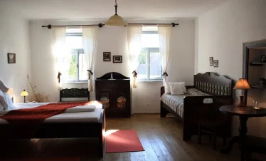 Meilleurs Logements de Transylvanie