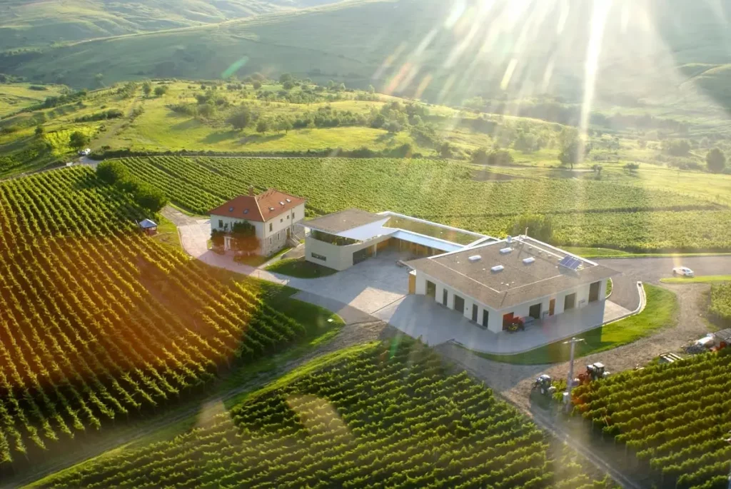 agriculture en Roumanie - Cave a vin CepturA