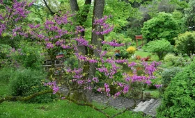 jardin botanique cluj-napoca