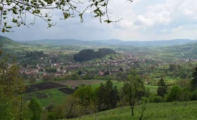 saschiz