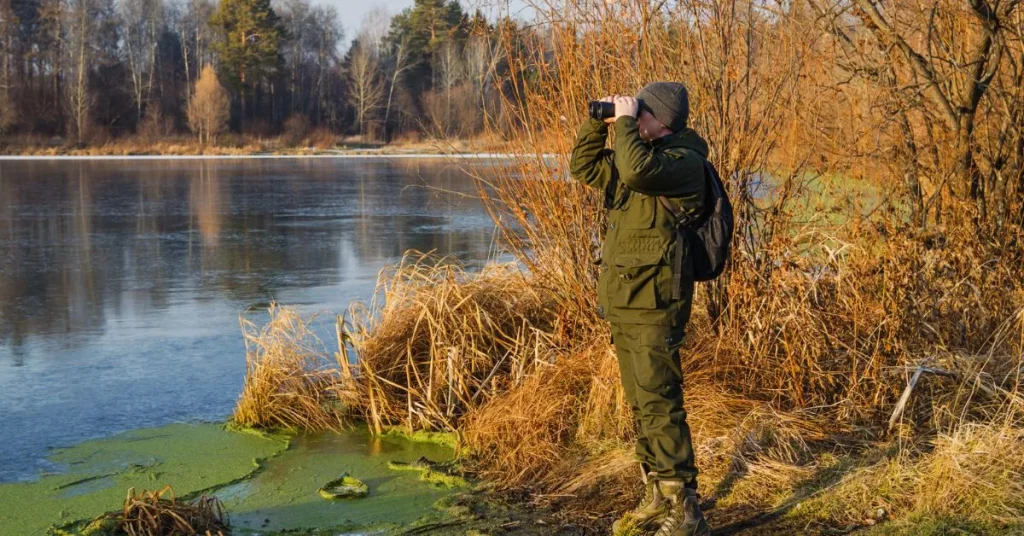 petit gibier roumanie
