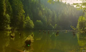 lac rouge roumanie