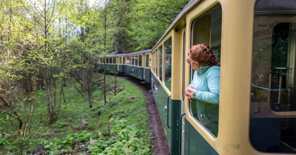 Mocanita Maramures