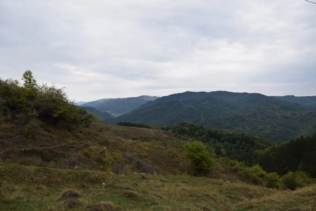 Valea Doftanei
