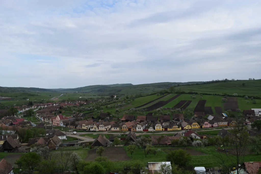 village saxon crit
